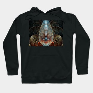 Teardrop Cocoon Hoodie